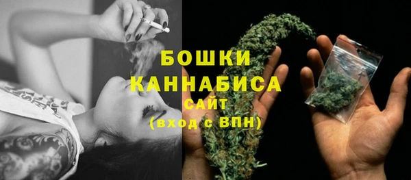 молекула духа Верхний Тагил