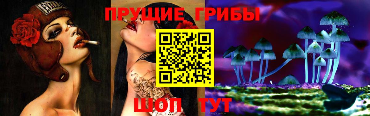 Галлюциногенные грибы Psilocybine cubensis Северобайкальск
