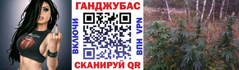 дарк нет наркотические препараты  продажа наркотиков  Северобайкальск  Канабис планчик 